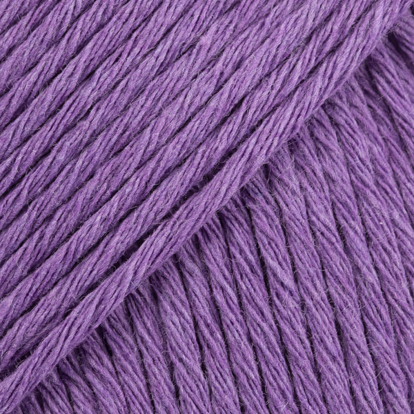 13 violet