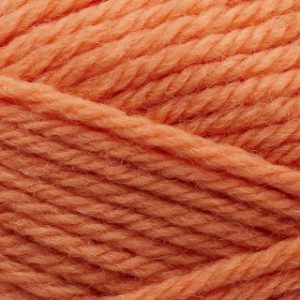 254 coral