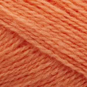 254 Coral
