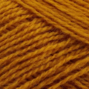 311 Turmeric