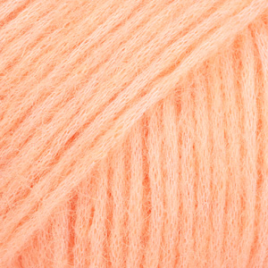 54 sweet apricot